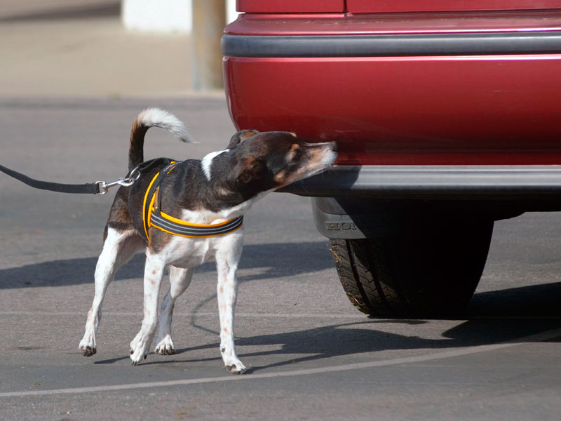 Photo by Scott Peterson