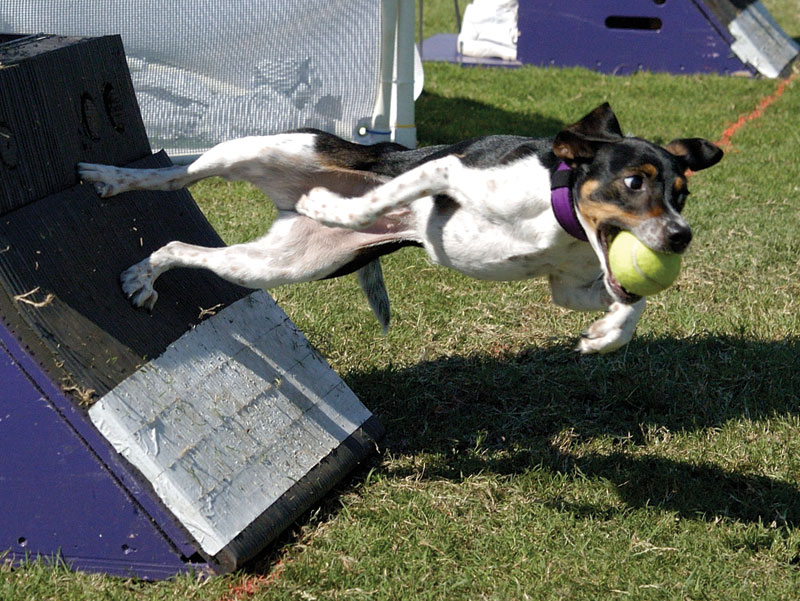 Photo by Todd Mennella