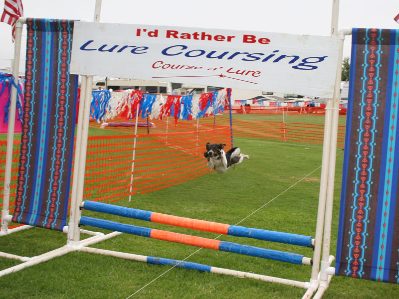 Wags for Wishes 2005